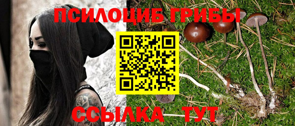 Галлюциногенные грибы Psilocybe  Вход с VPN  Белебей 